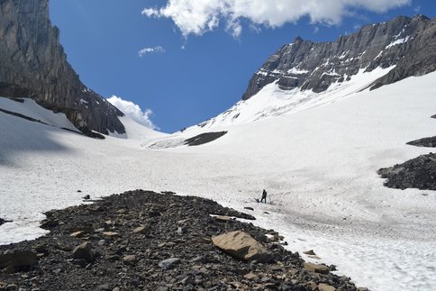 Figure 2. View of Robertson Glacier, Alberta, Canada in June of 2015. This image was taken from the terminus of the glacier and shows a researcher for scale.  