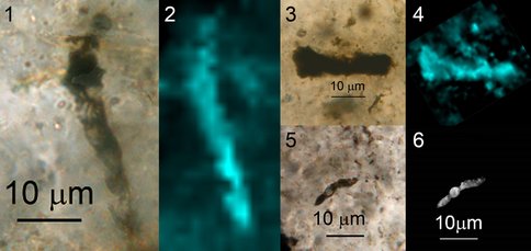 Figure 1-6. Optical photomicrographs (1, 3, 5), Raman kerogen two-dimensional images (2, 4), and a confocal laser scanning micrograph (6) of representative specimens of the 20 Apex fossils that have been prepared for SIMS analysis: 1, 2, Primaevifilum amoenum; 3, 4, Archaeoscillatoriopsis disciformis ; 5, 6, P. minutum. 