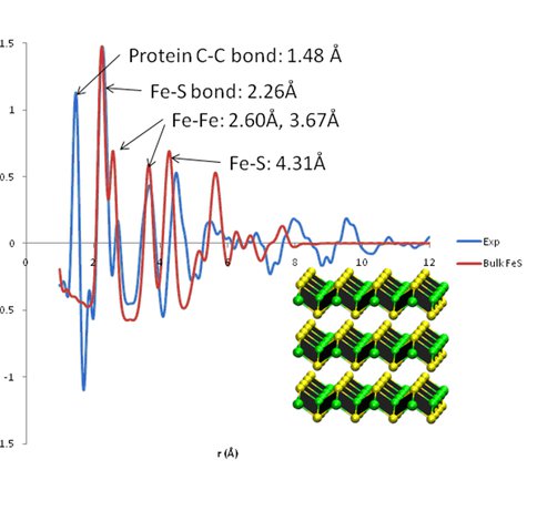 Pair Distribution Function Analysis of FeS Particles Inside a Protein Cage