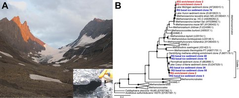 Robertson Glacier and Gene Phylogeny