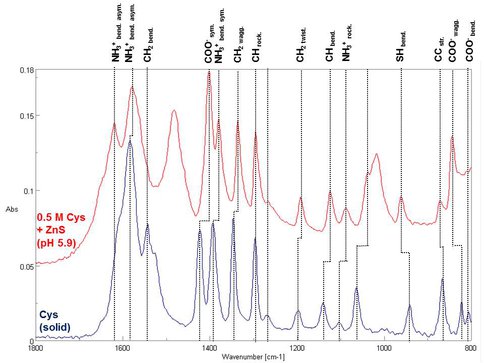 Infrared Absorption Spectra of Amino Acid (Cysteine in Solution and Interacting With ZnS Surface