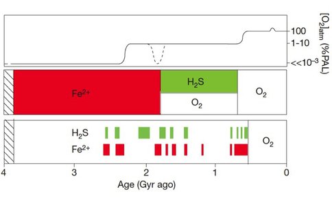 Marine Chemical Conditions in the Precambrian Ocean