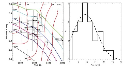 Astronomical Analysis of Primary Stars in the TW Hydrae Association