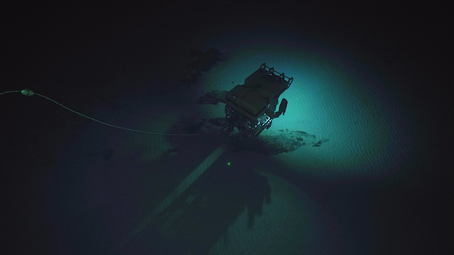 The Hercules vehicle can be seen in the top center of frame. It is dimly lit, with the reflection of the ROVs light off of the seafloor as the only source of light.