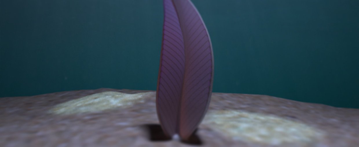 A reconstruction of the frond-like sea creature Stromatoveris psygmoglena, which lived during the Cambrian explosion of life forms on Earth.