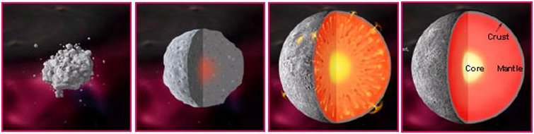 When an asteroid or a protoplanet accretes enough material, it will start to become roughly spherical. The heaviest material sinks into the core, and the body becomes split up into the core, mantle, and crust. This process is known as differentiation.