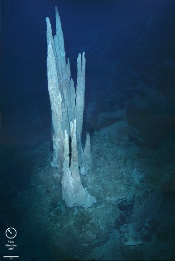 This image from the floor of the Atlantic Ocean shows a collection of limestone towers known as the "Lost City."