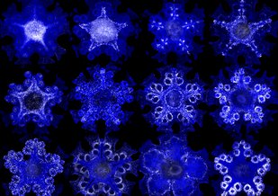 A series of images (four across and three down) show various sections of the starfish illuminated by fluorescence in blue/purple.
