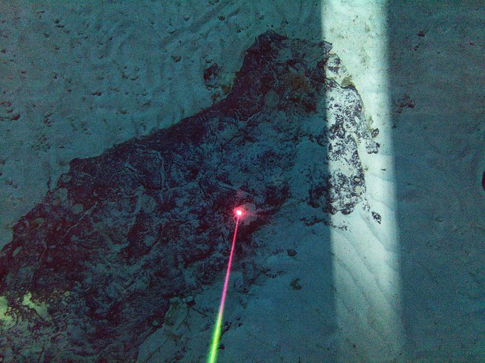 A thin beam of light moves up from the bottom of the frame to the center where it strikes a rock partially buried in the sand of the seafloor.