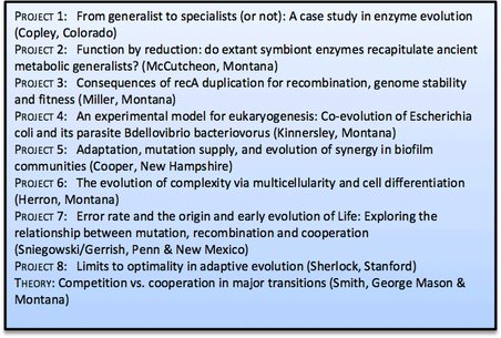 Summary of research projects of the University of Montana, Missoula team, with lead investigators.