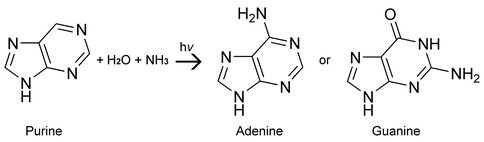 Figure 2. The UV photoirradiation of purine (left) in H2O- and NH3-containing ices leads to the production functionalized purines including the nucleobase adenine and (possibly) guanine.