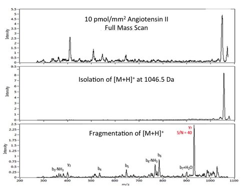 Figure 1: Prototype linear ion trap mass spectrometer instrumentation is undergoing testing in tandem (or “MS/MS”) mode to characterize the ability to identify key molecular structures – information not available from molecular weight alone. The example shown (the small peptide Angiotensin II) has a characteristic fragment pattern corresponding to its constituent amino acids.