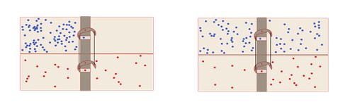 Figure 1. Escapement-controlled Brownian engines; how molecular disequilibria are “converted”; a model disequilibrium-converting engine illustrating the universal principles governing disequilibria conversion (often mis-called “energy conservation” in biochemistry). Here the disequilibria are simple concentration differences between left and right halves of a box divided by a partition having a portal through which particles can pass one at a time. Two such boxes, arranged vertically, are presented, one with blue, one with red particles. 