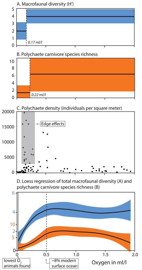 Figure 1. Distribution and ecology of macrofaunal organisms with respect to oxygen in the modern ocean. Regression tree analysis of (a) total macrofaunal diversity (Shannon-Wiener diversity index, log2H′) and (b) polychaete carnivore species richness. Regression tree analysis identifies the oxygen level that minimizes variance in a given response variable in the two most homogeneous subsets. 