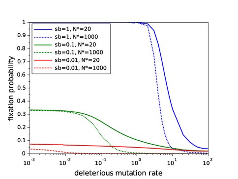 Figure 1. Deleterious mutations can impede selective substitution: Theoretical results from a study of the effect of deleterious mutations on the probability that a beneficial mutation will spread to fixation (frequency = 1) by natural selection in an evolving population. sb = selective advantage conferred by the beneficial mutation; N* = population size of the wild type population in which the beneficial mutation has arisen. Note that as the deleterious mutation rate rises, even strongly beneficial mutations are unable to fix in populations, implying that these populations will fail to adapt and may go extinct.