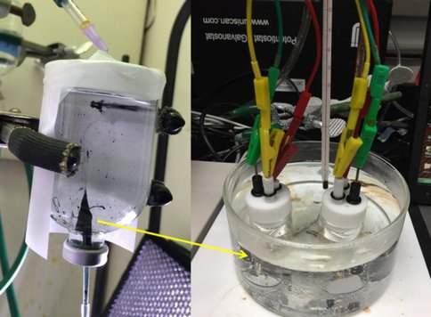 Figure 1. Simulated iron sulfide hydrothermal chimneys applied to a working electrode allows for simulation of electrical current generation in hydrothermal chimney systems, and possible redox reactions driven by the mineral catalysts.