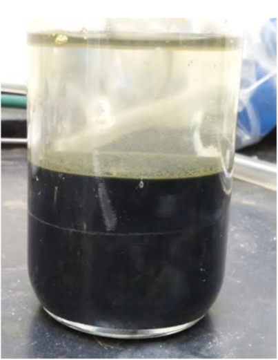 Figure 2. Iron oxyhydroxide precipitates (including green rust) synthesized by mixing of simulated Hadean ocean and alkaline hydrothermal fluid.