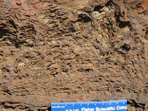 Figure 2. Distinctive, void-rich stromatolites from 2400 Ma carbonates in Australia.