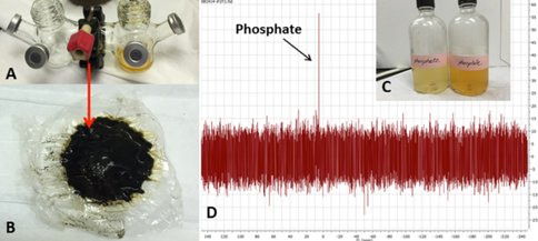 Hydrothermal chimneys concentrate phosphorus for prebiotic chemistry. Simulated chimney precipitates at the ocean-hydrothermal interface (A) produce membranes containing iron-oxyhydroxides (B). When these mineral membranes are soaked in a dilute phosphorus solution for 24 hours (C) – representing a hydrothermal chimney forming in the phosphate- or phosphite-containing Hadean ocean – the membrane becomes enriched in adsorbed phosphorus species (as detected by liquid 31P N). → change to “liquid 31P NMR”