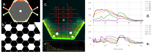 Figure 2. (a) GBC-2 design, with yellow indicating the locations where hydrogel was polymerized. (b) A zoom of the edge of the GeoBioCell, showing the slits, wells and channels. (c) Fluorescent images of a dye diffusion gradient across the GBC. (d, e) 90 hr time-lapsed growth curves of E. coli at different locations in the GBC. Cell count measured in cells/area.