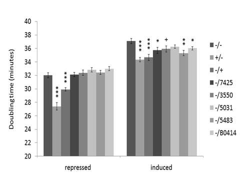 Figure 2. Cyanobacterial recA genes partially complement the growth defect of a E. coli recA deletion strain. 

Generation times of E. coli strains harboring different recA copies, when repressed (left) or induced by rhamnose (right) are shown. The Acaryochloris copies are 3550, 5031, 5483 and B0414, and 7425 is the recA from Cyanothece PCC 7425. +/- indicates the strain with the native E. coli recA on the chromosome, whereas -/+ indicates the strain with the native E. coli recA on a plasmid. The asterisks indicate any significant difference (P<0.05) compared to the strain lacking recA (-/-) using a t-test. The number of asterisks correspond to ***: P<0.001, **: 0.001<P<0.01, *: 0.01<P<0.05. These are the pooled results of three independent experiments.