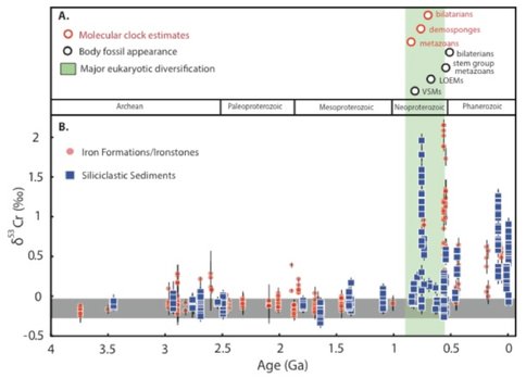 Figure 1. A chromium (Cr) isotope record of evolving Earth surface redox. Chromium isotope values in marine sediments (iron formations, ironstones and siliciclastic sediments) through time show a significant increase in Cr isotope fractionation during the Neoproterozoic. This increase in Cr isotope values coincides with a period of major eukaryotic diversification reconstructed from the fossil record (vertical green bar) as well as a series of major biological and ecological events in the late Proterozoic (upper panel). These values are significantly higher than the high-temperature crustal range of Cr isotope values (horizontal gray bar), suggesting the initial onset of significant coupled O2-Mn-Cr cycling.