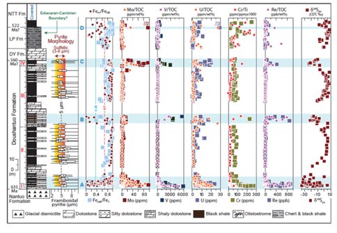 Figure 1. Geochemical profiles of the Ediacaran and early Cambrian strata from the Wuhe section in the Doushantuo Formation of South China. Pyrite morphologies and Fe proxy data indicate persistent water-column anoxia during most of the Ediacaran, making this section ideal for tracking the global ocean redox evolution using redox sensitive metal (RSM) enrichments. Highly enriched RSMs (Mo, V, U, Cr, Re) in the lower middle and uppermost formation are interpreted as recording three distinctive oxygenation events at ca. 635 Ma, ca. 580 Ma, and ca. 560 Ma. Crustal-level RSM values between these events record a return to prolonged oceanic anoxia. This interpretation is supported by coincident swings in sulfur (S) isotope values. 