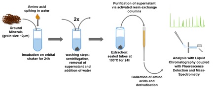 Figure 1. Amino Acid-Mineral Extraction Process