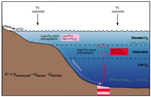 Figure 3. A conceptual cross-section showing the depositional environment of the Manzimnyama BIF. The distal, deep-water Fe-rich BIF samples were oxidized in deeper water where oxygen contents were lower than shallow-water Fe-poor BIF samples that were precipitated entirely above the redoxcline, where oxygen contents were uniformly elevated. The low-Fe samples are granular, and they are found in slump and debris features, which supports the interpretation that they record precipitation in a shallow-water, near-shore environment, followed by transportation to a deeper part of the basin and deposited along with the more distal, deeper water (high-Fe) samples. From Satkoski et al. (2015).