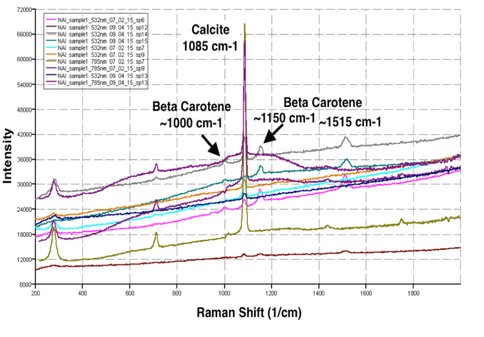 Figure 1. Newly collected sample from Travertine Hot Springs, CA. Colored boxes shows where Raman spectra was taken. a) Image of outer parts of sample. Raman spectra of boxed region showed no biosignature peaks. b) Raman spectra of inner layers show strong peaks at 1085 cm-1 and weaker peaks at 281 cm-1 and 711cm-1, which is consistent with calcite. Preliminary biosignature analysis indicates peaks at ~1000 cm^-1, 1150 cm^-1 and 1515 cm^-1 in several spectra which is consistent with the presence of beta-carotene. 