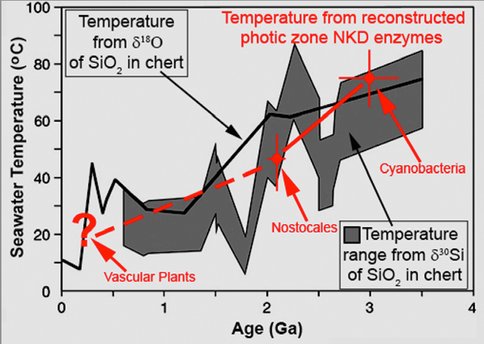 Figure 1. Isotope- (δ18O- and δ30Si-) based estimates of Earth’s ambient surface temperature over geological time (Knauth and Lowe, 1978, 2003; Robert and Chaussidon, 2006) compared with temperatures determined from the stability of reconstructed nucleoside diphosphate kinase (NKD) enzymes.