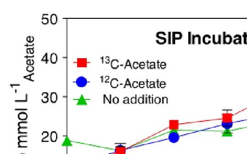Figure 1. Concentration of 0.5 M HCl-extractable Fe(II) produced in Fe reducing SIP incubation containing labeled (13C) or unlabeled (12C) acetate, or no additional electron donor (No addition). Acetate-amended samples received 0.5 mM acetate after each sample collection. Data points represent single measurements of triplicate incubations. Note the scale difference for the no addition data.