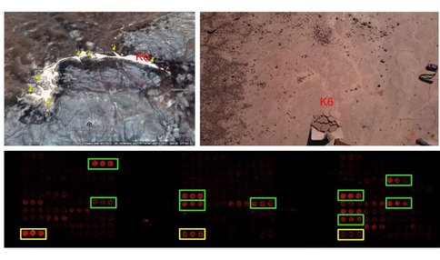 Figure 1. shows one of the results obtained after analyzing a sample from Atacama desert (top images) with LDChip. A 0.5 g sample from 80 cm depth collected during LITA2015 campaign was extracted by sonication in 2.5 mL of extraction buffer, filtered through 5 microns and incubated with LDChip with 150 antibodies. 