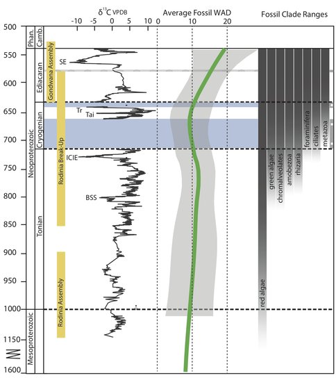 Figure 2. Overview of major events and fossil diversity in the Proterozoic from Cohen and Macdonald 2015. SE=Shuram carbon isotope excursion, Tr=Trezona carbon isotope excursion, Tai=Taishir carbon isotope excursion, ICIE=Islay carbon isotope excursion, BSS = Bitter Springs stage, SGE = Sturitian aged glacial event, MGE = Marinoan aged glacial event, GGE=Gaskiers aged glacial event. WAD = within-assemblage fossil diversity.