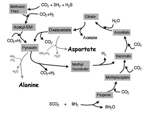 Figure 1. A composite of various abiotic ("protometabolic") carbon- (and nitrogen-) fixation reactions promoted or catalyzed in the presence of transition-metal sulfides and in aqueous media. This reaction network shares superficial similarities with intermediate anabolic strategies of certain anaerobic autotrophs, e.g., methanogens and acetogens. A reaction network such as this may have provided the primitive world with the essential biochemicals necessary to ?jump start? an emergent chemical system, e.g., RNA world. The apparent complexity shown in this diagram does not, by any means, reflect a limit for abiotic chemistry; rather it records what has been observed to date in a very limited reaction space explored by Co-I Cody and other researchers in experimental protometabolic chemistry.