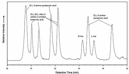 Figure 2. The photolysis of sec-butylamine ice at 10K produces a suite of amino acids. Until this June of this year, we were unable to distinguish between 3-aminopentanoic acid and isovaline. This co-elution appeared as an excess of L-isovaline when analyzed by liquid chromatography.