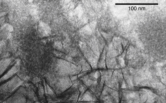 Figure 2. HRTEM image of ultrathin section showing filaments containing few-nanometer sized, granular iron oxyhydroxides surrounded by long, blade-like lepidocrocite.