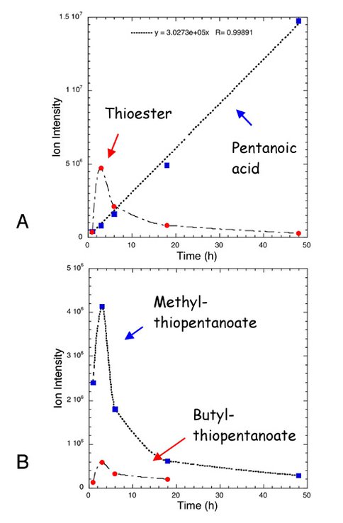 Figure 1. The results of high pressure (200 MPa) high temperature (250°C). (A) Linear growth kinetics of valeric acid (pentanoic acid) verifying that under the assay conditions the conversion rate is zeroth order with respect to the substrate (butane thiol) concentration. (B) Rapid, high yield, synthesis of thioesters.