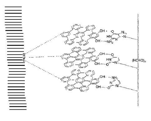 Figure 2. The central hypothesis of the “PAH world” model is that small polycyclic aromatic hydrocarbons (PAHs) will spontaneously self-organize into a discotic arrangement, bond to nucleic acid bases, and form a backbone in a topology similar to that of RNA.