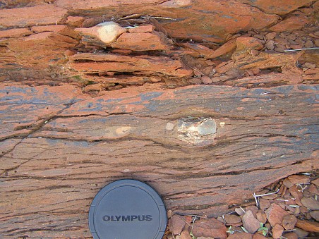 Glacial dropstones in the Paleoproterozoic rocks of the Meteorite Bore locality, Hamersley Basin, Western Australia.