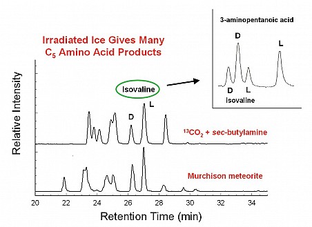 Figure 2 - The presence of 3-aminopentanoic acid, a C5 amino acid, explains the apparent excesses of L-isovaline and L-valine in our irradiated ice residues. The D and L peaks of 3-aminopentanoic acid co-elute with the L-isovaline and L-valine, respectively.
