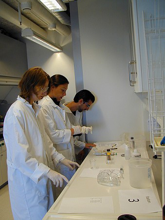 Laboratory Analysis