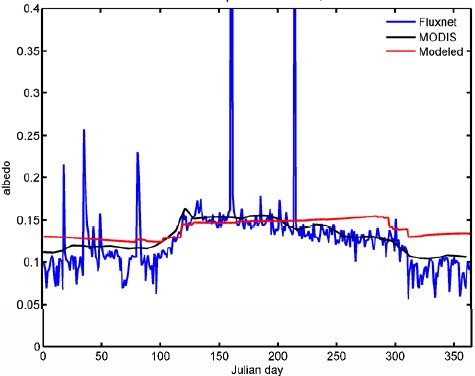 Simulated Canopy Albedo by the Ent <span class="caps">DGTEM</span> for a Broadleaf Forest.