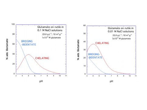 Glutamate Speciation on TiO2 Surfaces With pH