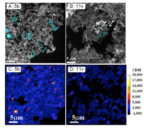 Coordinated Microanalysis of Tagish Lake Organic Solids From Different Lithologic Groups