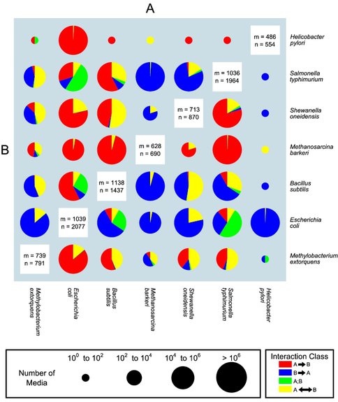 Symbiotic Interactions Between Microbes, Predicted Using a Stoichiometric Modeling Approach