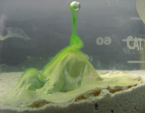 Vertical Photosynthetic Biofilm Growing Around an Oxygen Bubble