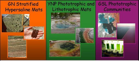 Major Research Sites for Fuctional Based Habitability