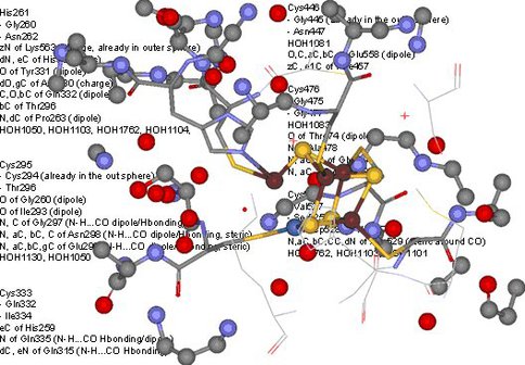 Protein Environment of the C-Cluster of Carbon Monoxide Dehydrogenase