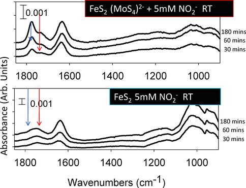 Nitrite Binding to a Molybdenum Sulfide Modified Pyrite Surface